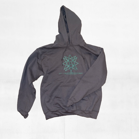 CDS 2031 AP7 Gray Hoodie