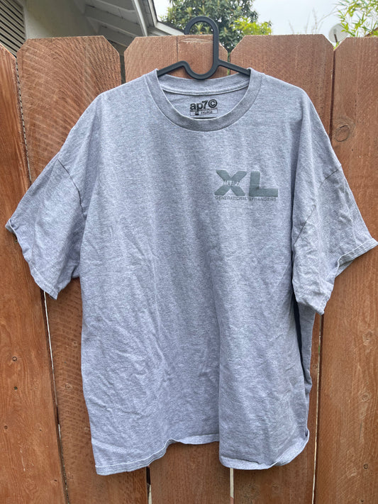 AP7 Gray Generational Strangers T-Shirt