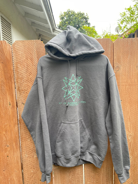 AP7 Distorted Senses Dark Gray Hoodie
